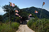 Myanmar - Kyaikhtiyo, along the trail following the ridge 